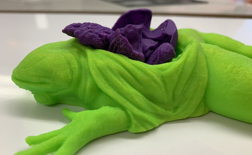 A tool to simulate frog dissection for students with visual impairments