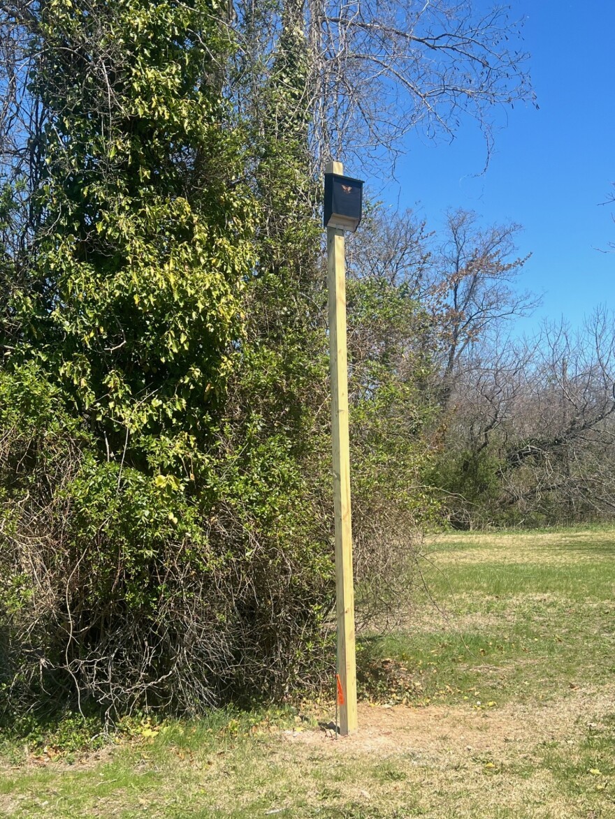Bat box at the Brookside Nature Preserve — Freeport, NY