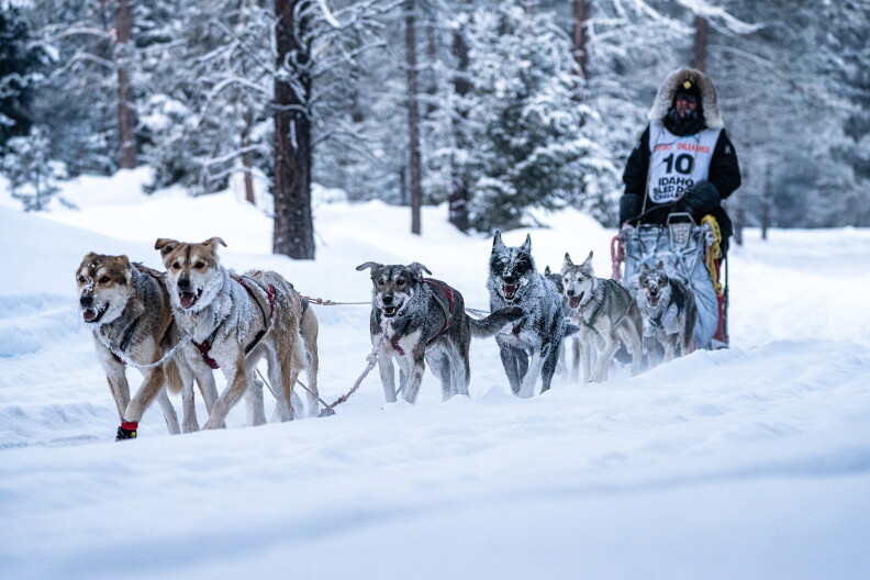 The Idaho Sled Dog Challenge is returning to the West Central Mountains of Idaho. Here, Scott White from Snohomish, Wash., and his team race in 2022.