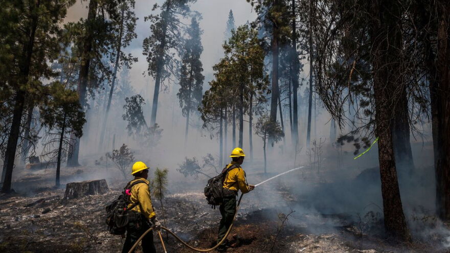 Nic Coury /AFP via Getty Images