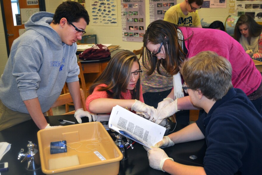 Students at Dalton L. McMichael High School in Mayodan, N.C.