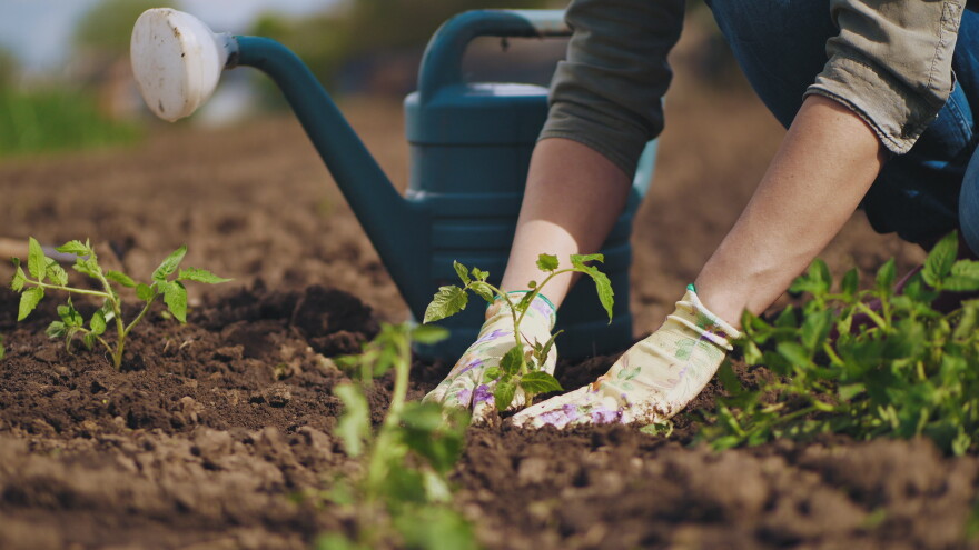 The National Young Farmers Coalition delivered a letter to House and Senate Agriculture Committee leadership signed by 175 national, regional and local organizations in support of the Increasing Land Access, Security and Opportunities Act.