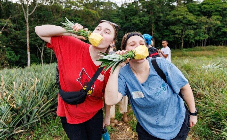 Estudiantes y personal de ISU en los campos de piña en Costa Rica con el anfitrión Edgar Sánchez y la representante de Conexiones Culturales y voluntarios Debbi Asunción.