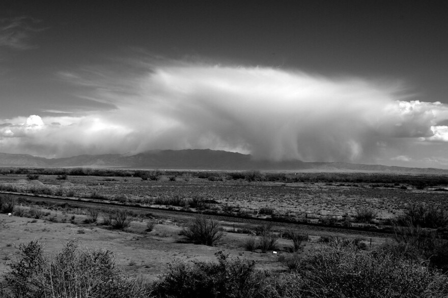 Monsoon Madness 2025