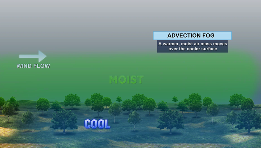 Advection fog explainer graphic.
