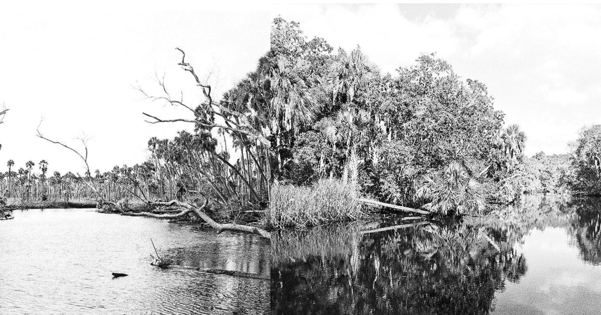 'Rephotography' shows how environmental degradation has progressed over time