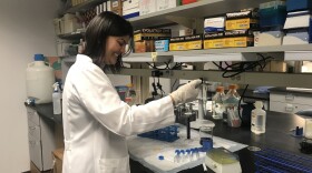 Ushashi Dadwal, a postdoctoral fellow, works in the Kacena Lab on IUPUI's campus.