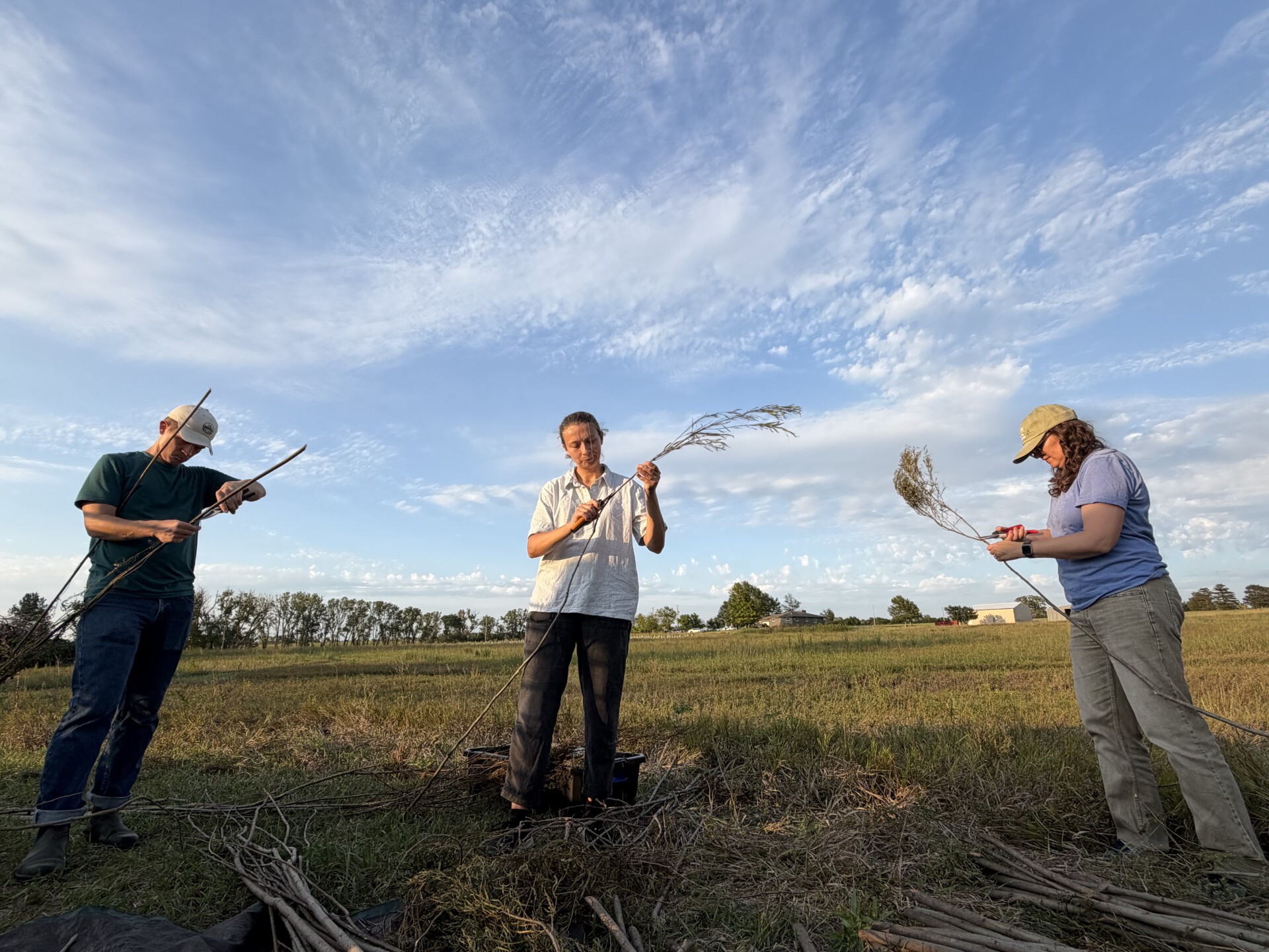 Celebrate 50 years of the Land Institute with flavors of the prairie episode artwork