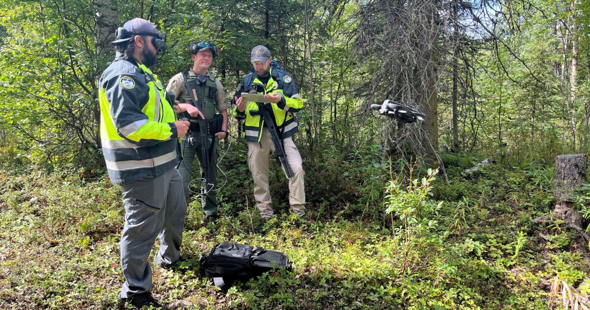 2nd Anchorage-area hiker mauled by bear in under a week