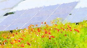 Artist rendering of the planned Logansport solar farm and pollinator habitat