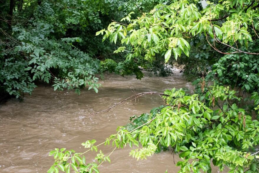 A swollen Spy Run Creek on Wednesday afternoon.