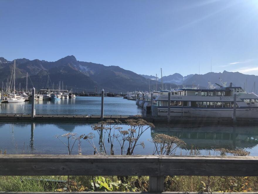 A harbor with some large boats