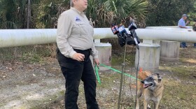 Woman with search dog stands, speaking into microphones.