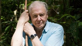 David Attenborough's Stories