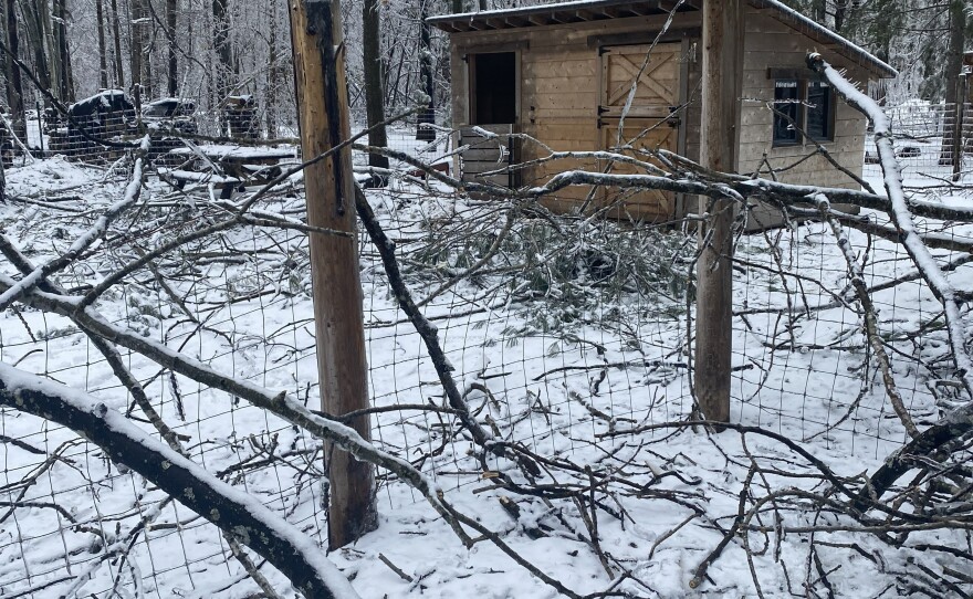 Photos of fallen tree limbs blocking essential areas at Hearts Pasture farm in March 2025 following a devastating ice storm.