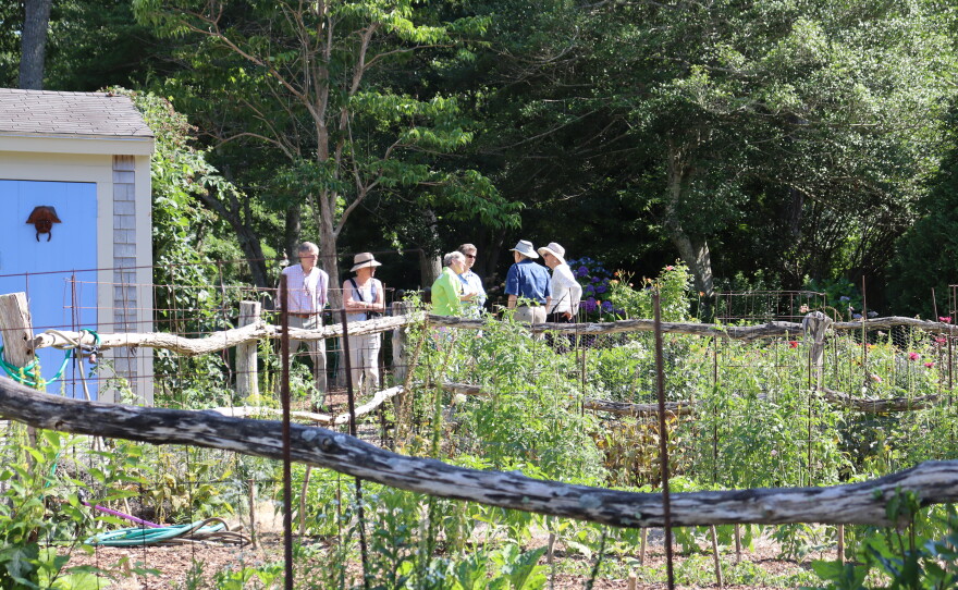 Photos of the home garden of CAI's The Garden Lady, C.L. Fornari 