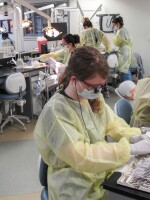 Third-year students at the Harvard School of Dental Medicine learn how to trim crowns and prep a tooth for a crown. They're also learning to deal with the aftereffects, studying alternatives to opioids for pain relief.