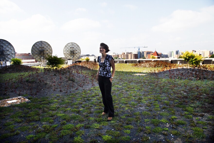 The green roof helps with storm water management and water quality by filtering rainwater, and it helps mitigate the urban heat island effect by providing more green space and contributing to a cooler city at large, says Erin Stamer. She is with the Prospect Waterproofing Company, the group that installed and cares for the green roof at NPR.