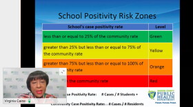 Marion County Public Health Department Director Dr. Virginia Caine presents the new color-coded risk calculation tool during a virtual press briefing Thursday, Jan. 7.