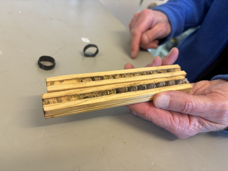 Blocks of wood that serve as mason bee "hotels."