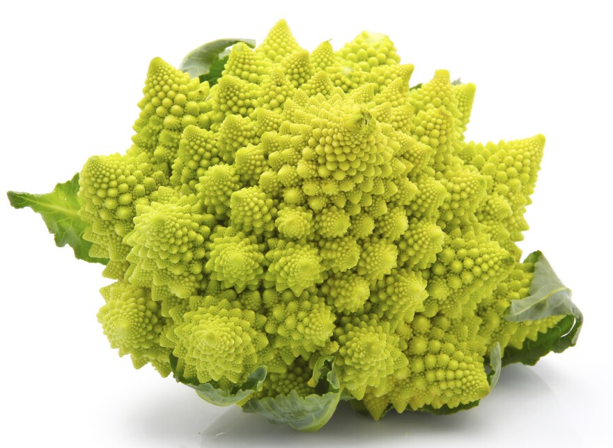 Sea urchin? Nope. Romanesco, a type of cauliflower.