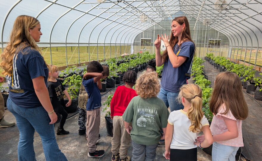 group of students explore a greenhouse