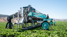 A large machine uses robotic arms to harvest lettuce in a field on a sunny day. 