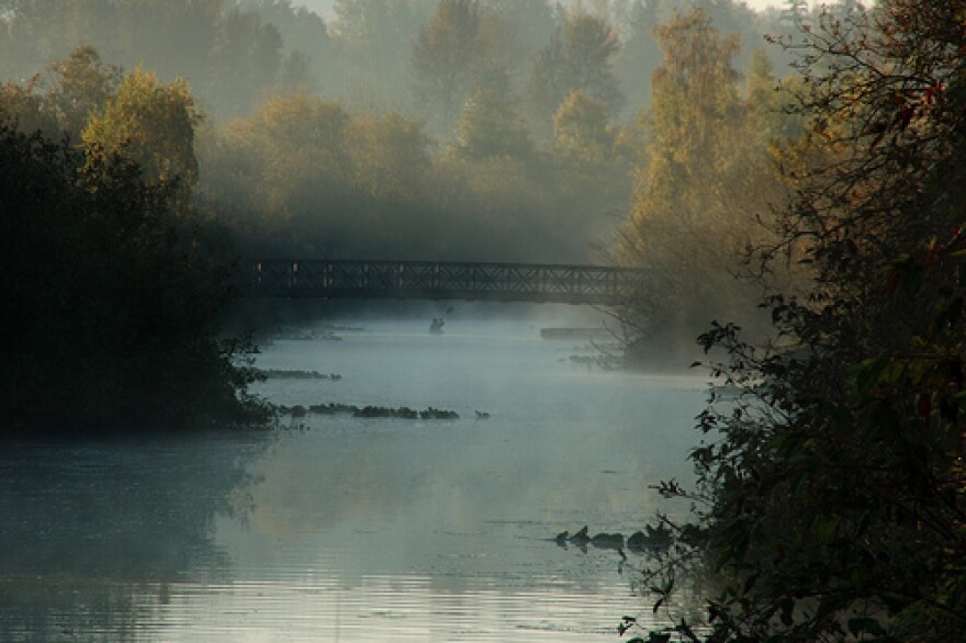 Driver says her GPS landed her in the Mercer Slough.