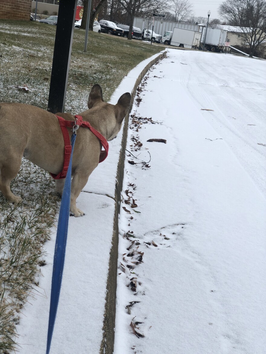 Photo taken in Baltimore County, Maryland