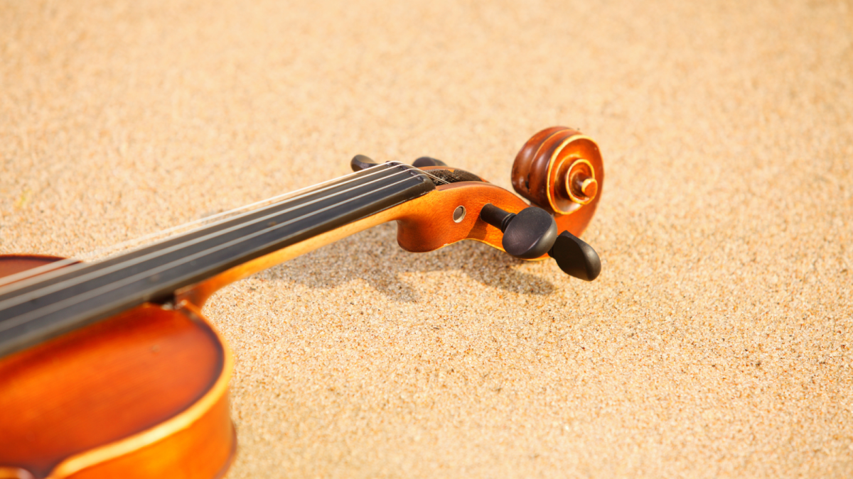 Northern Michigan 2023 summer concert guide - Vimarsana News