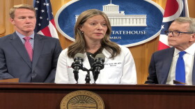 Dr. Amy Acton, Ohio Department of Health director 