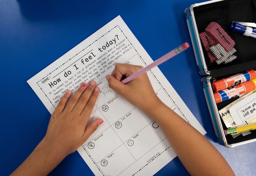 Education reporters Liz Schlemmer and Lisa Phillip covered a bevy of topics in 2018. They share their biggest stories of the year. 