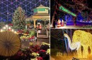 Holiday lights at (clockwise from left) the Mitchell Park Domes, Jellystone Park and the Milwaukee County Zoo.