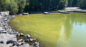 Greenish water from a harmful algae bloom is visible along the shoreline of Odell Lake in Klamath County.