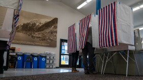 two people vote in voting booths inside