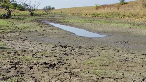 In this Aug. 3, 2012, photo, a small amount of water is seen in a pond in the cattle pasture that serves as the water source for a cattle ranch in Tallula, Ill. These types of smaller bodies of water would lose federal protection under a new rule.