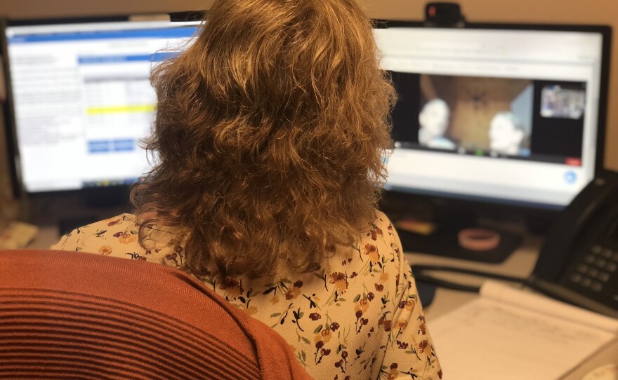 Anne Carle, Telehealth Nurse at Cornerstone VNA in Rochester checks in with a patient and his daughter.