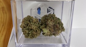 Cannabis flower sits inside of a clear glass container.