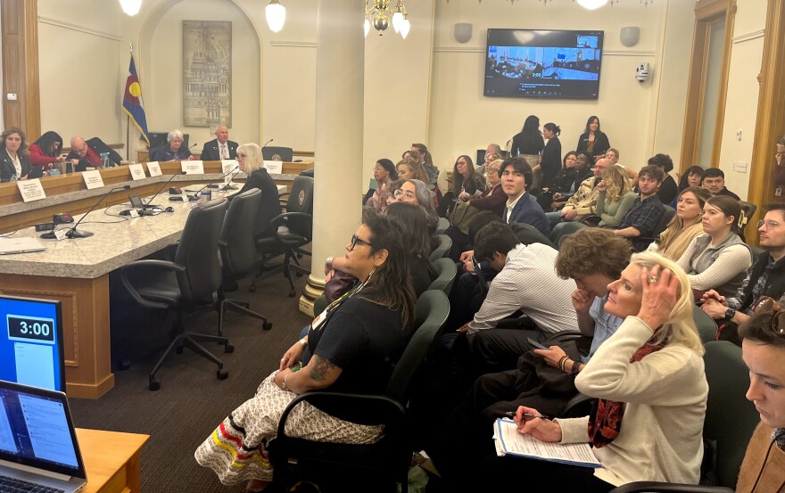 Students, parents, educators, and administrators fill the Education Committee hearing on February 8, 2024.