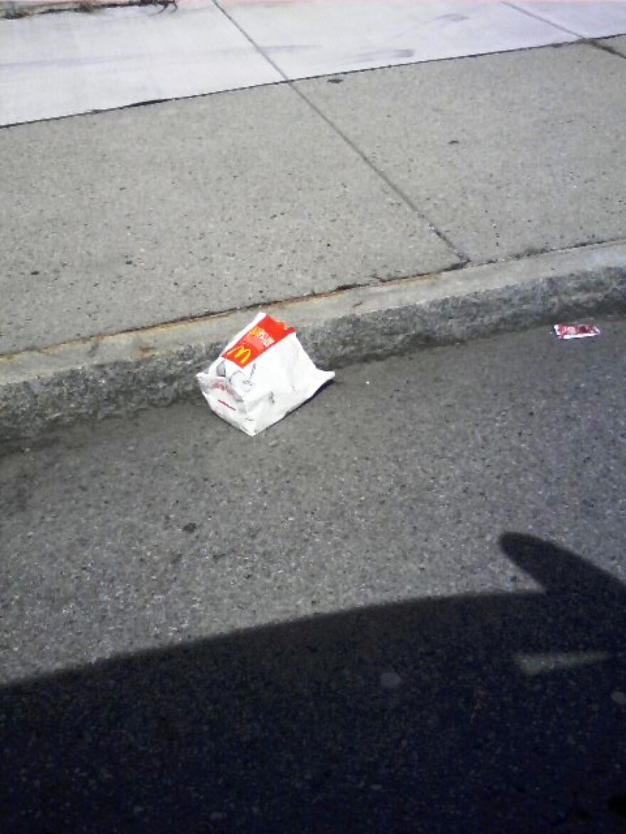 liter along Suffolk and Bailey in Buffalo