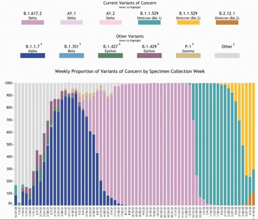 This chart, produced by the Colorado Department of Public Health and Environment, shows the change in the proportion of COVID-19 variants showing up in surveillance testing. The pink in the middle of the chart represents the delta variant. The green on the right side of the chart that rapidly replaced the delta variant is the omicron BA.1 variant. The yellow at the far right of the chart represents the omicron BA.2 variant, while the rising brown bars at the bottom right represent the BA.2.12.1 variant. Data are current as of April 25, 2022.