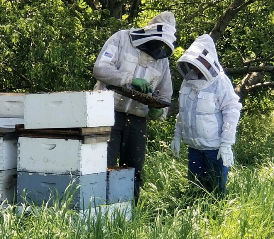 Honeybees across the United States churned out more honey in 2023, increasing production numbers for the first time in three years. To beekeepers, it's a small win in an industry facing major challenges.