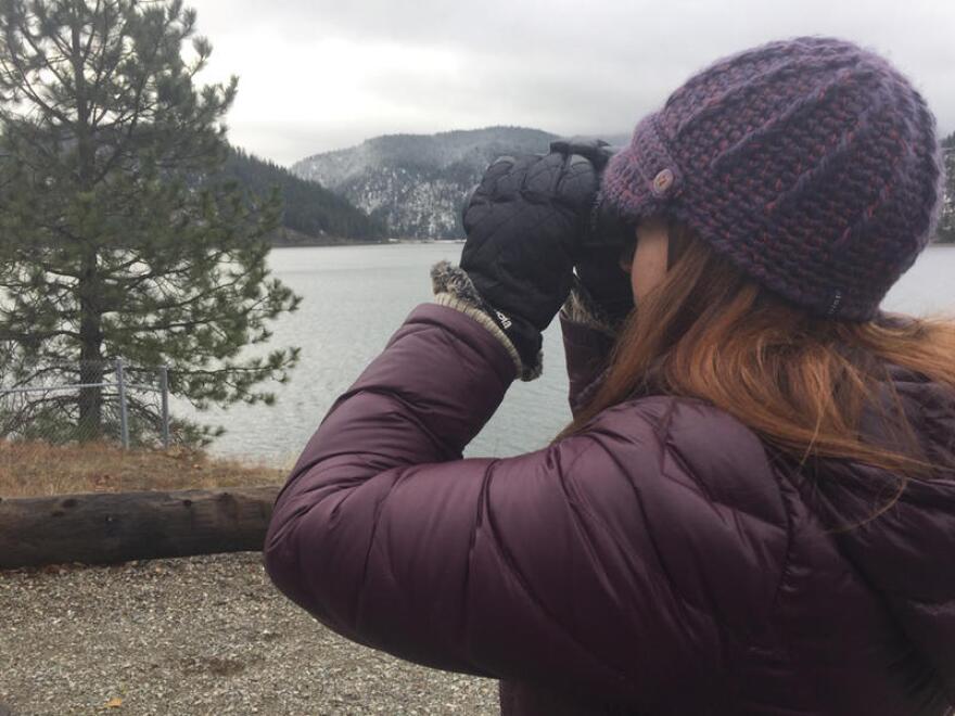BLM Wildlife Biologist Carrie Hugo Peers through binoculars. For the last eight years she's been in charge of counting the migrating Bald Eagles that stop over at Lake Coeur D'Alene in Idaho's panhandle. EMILY SCHWING / NORTHWEST NEWS NETWORK