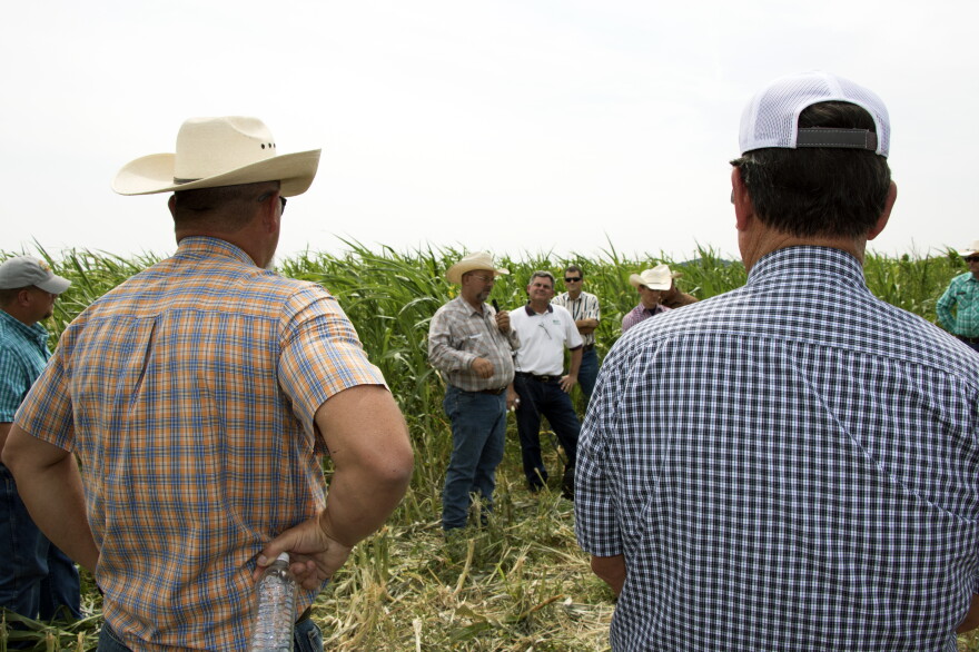 Jimmy Emmons, who owns the land where the workshop is taking place, talks to fellow farmers about cover crops and no-till farming. 