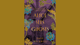 "Alice Sees Ghosts" is a new novel from author Daisy Rockwell.