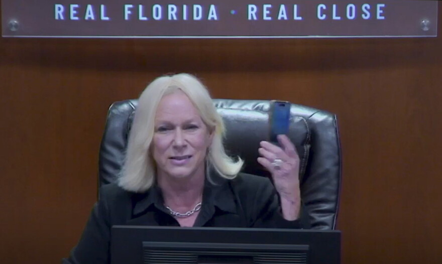 At Tuesday's meeting, Lake County Commission Chair Leslie Campione pointed out that Flock cameras are not the only devices collecting data on citizens. "I don't want to be surveilled. I don't want information collected on me. But I do walk around with this (phone) all day long," she said, holding up her smartphone.