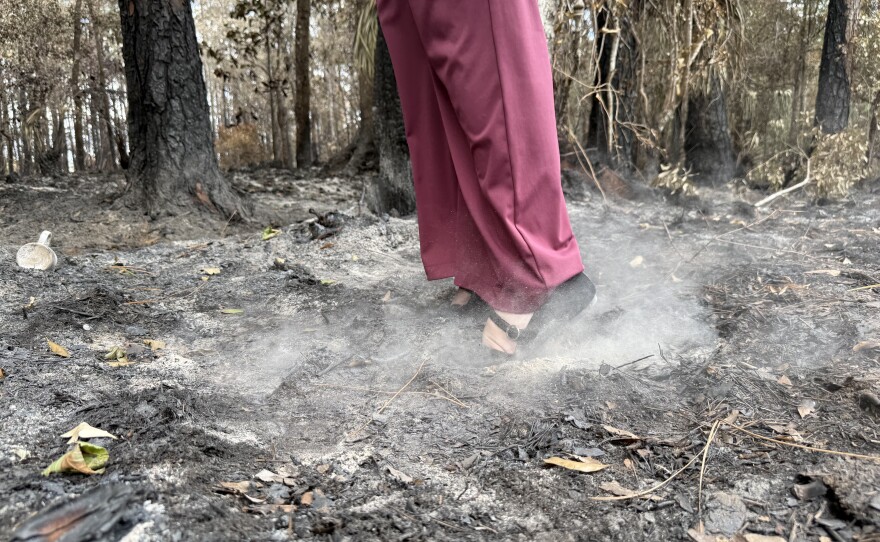 Cow Creek fire in Levy County. (Sara-James Ranta/WUFT News)