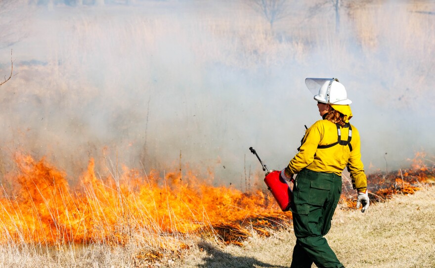 A controlled burn is being done at Fairview Park by burn bosses from environmental consulting company Stantec.