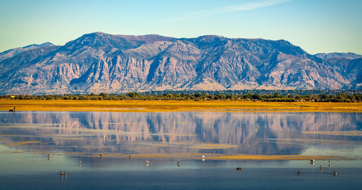 Fsalt New book explores why shrinking salt lakes matter in the Mountain West ...