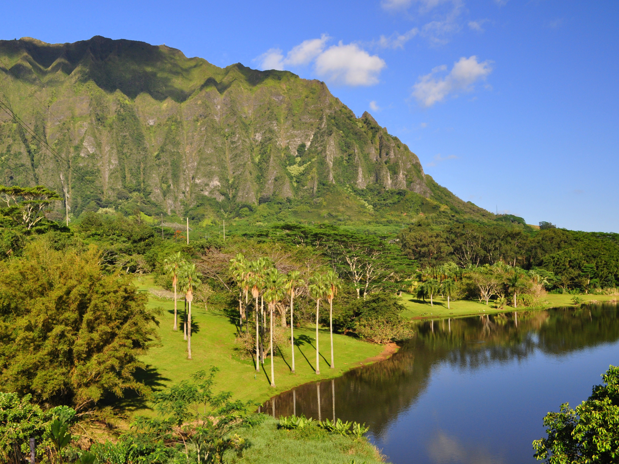 The Conversation: Immigration cases; Hoʻomaluhia Botanical Garden